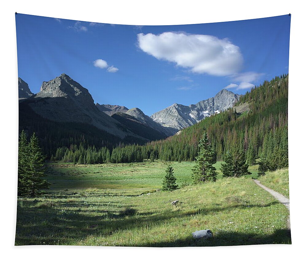 Mountains Tapestry featuring the photograph Sangre de Cristos by Ivan Franklin