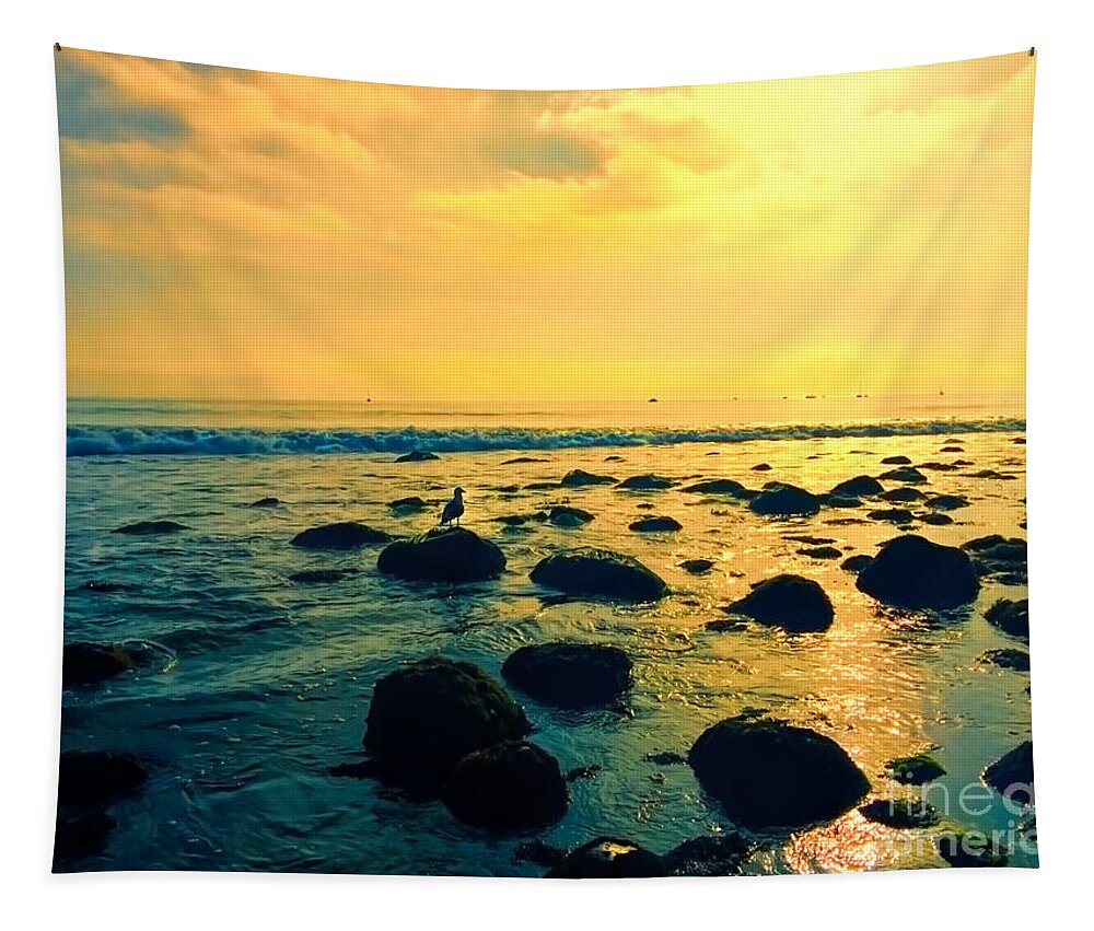 Photo Tapestry featuring the photograph Santa Barbara California Ocean Sunset by Alicia Hollinger