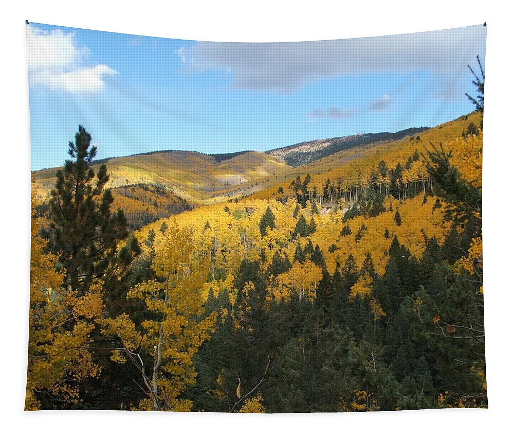  Tapestry featuring the photograph Santa Fe Autumn View by Ron Monsour