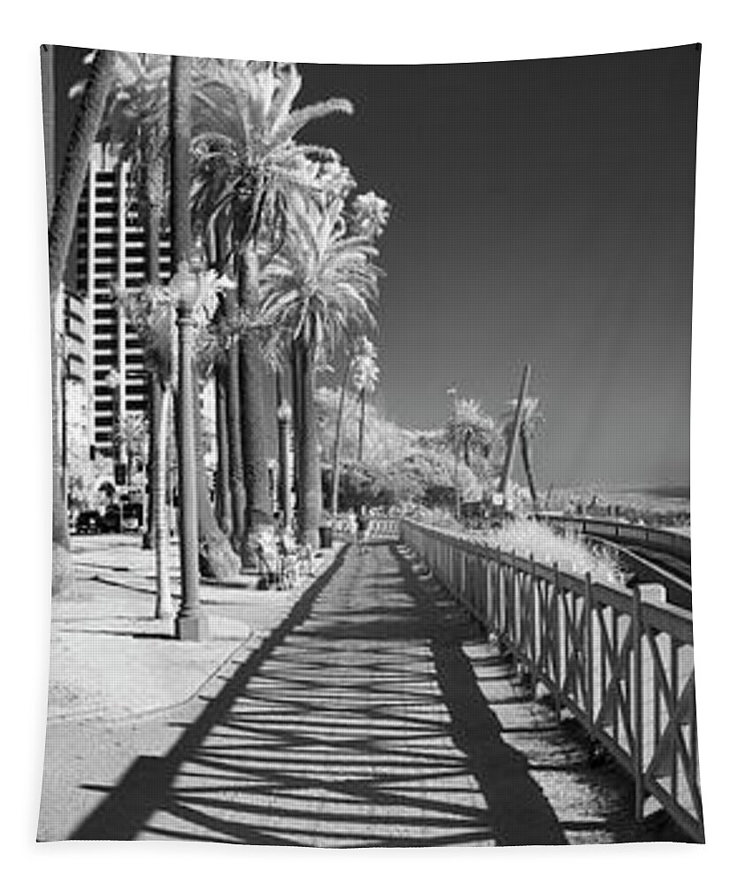 Black And White Photographs Tapestry featuring the photograph Santa Monica Shadows and Palms by Sean Davey