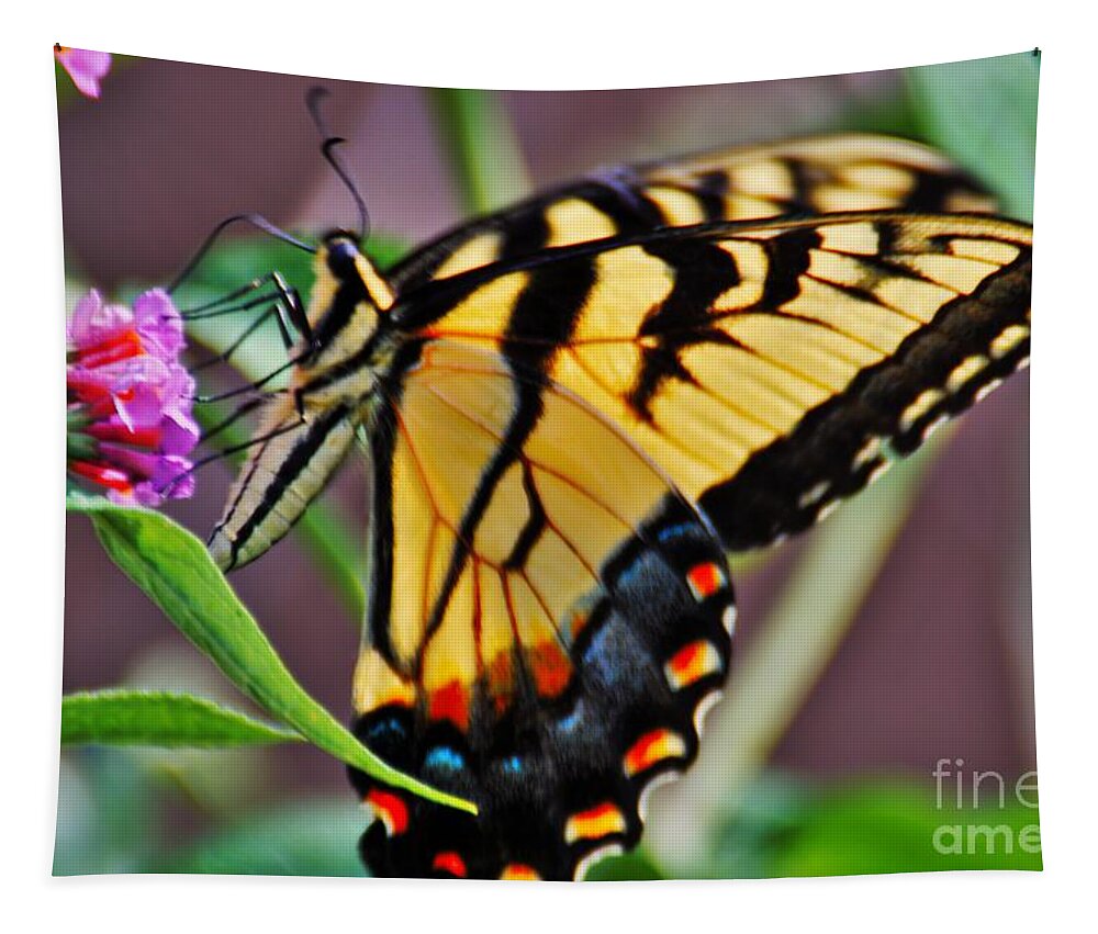 Butterfly Tapestry featuring the photograph Satisfied by Merle Grenz