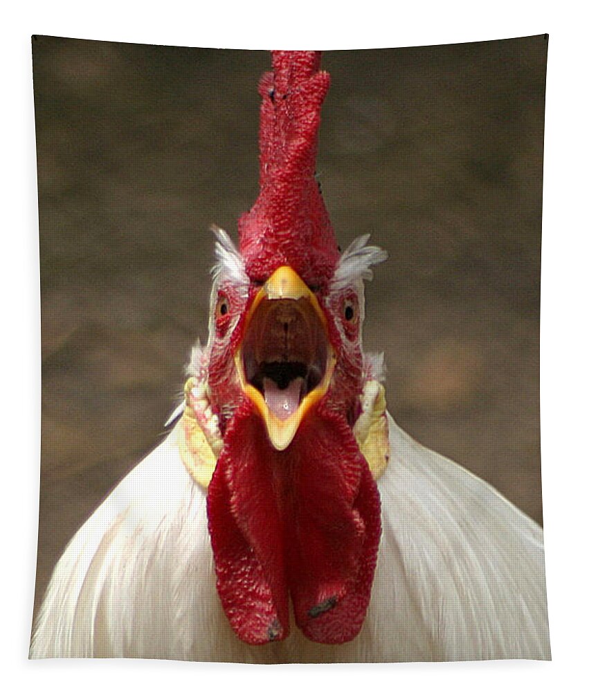 Rooster Tapestry featuring the photograph Say Ahh by Living Color Photography Lorraine Lynch