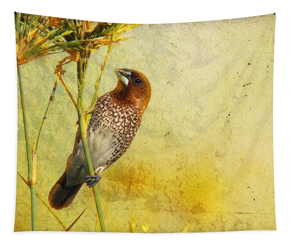 Scaly-breasted Munia Tapestry featuring the photograph Scaly-breasted Munia by Perry Van Munster