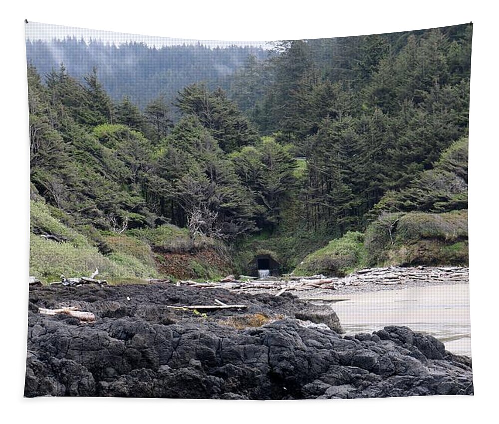 Oregon Coast Tapestry featuring the photograph Scenic Oregon Coast by Christy Pooschke