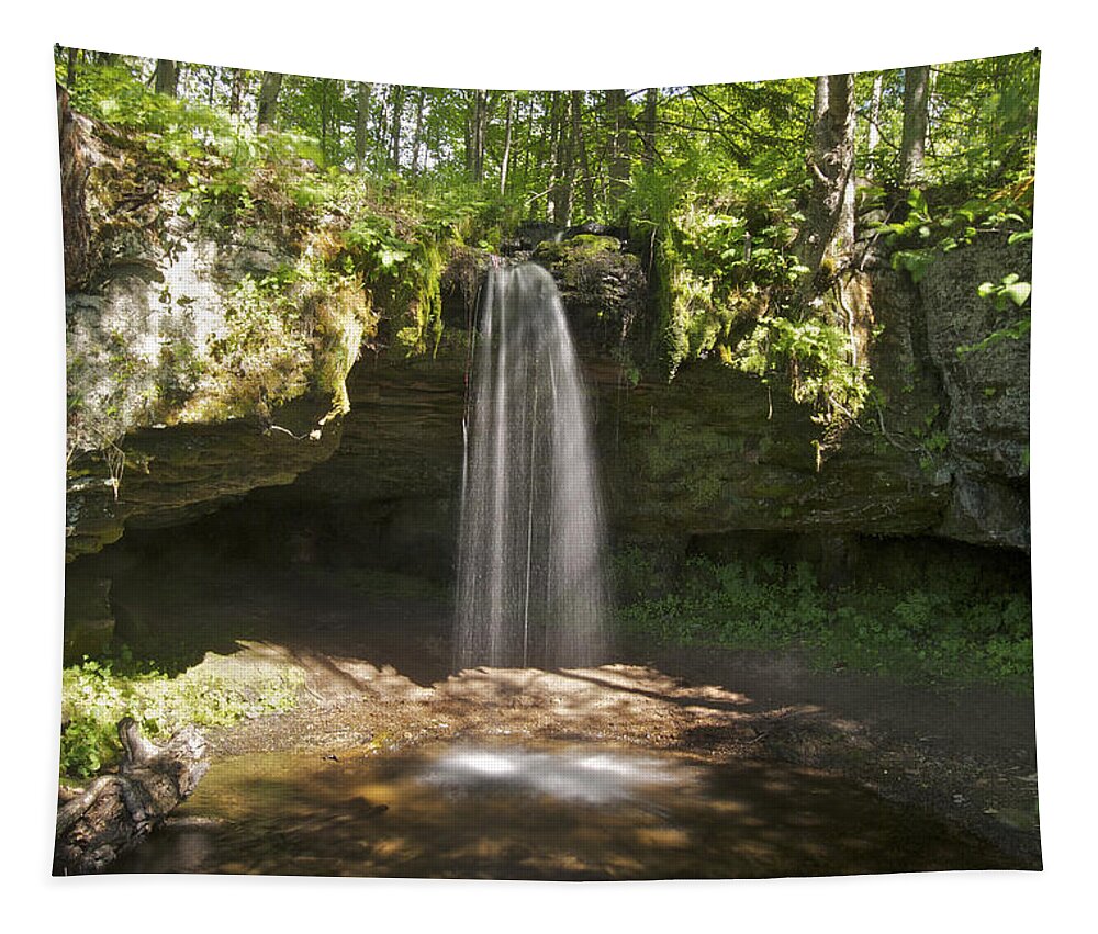 Scott Tapestry featuring the photograph Scott Falls 4750 by Michael Peychich