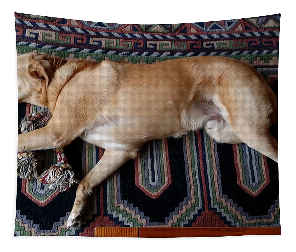 Dog Tapestry featuring the photograph Scouts Rope by Laura Davis