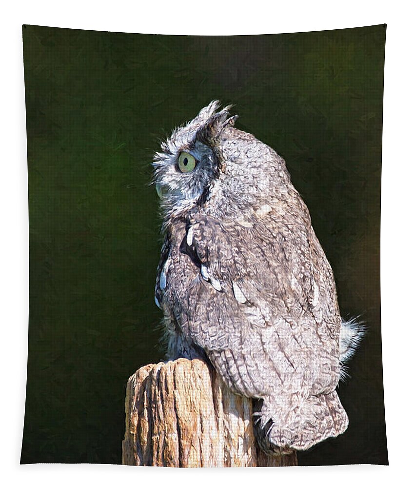 Nature Tapestry featuring the photograph Screech Owl Profile by Sharon McConnell
