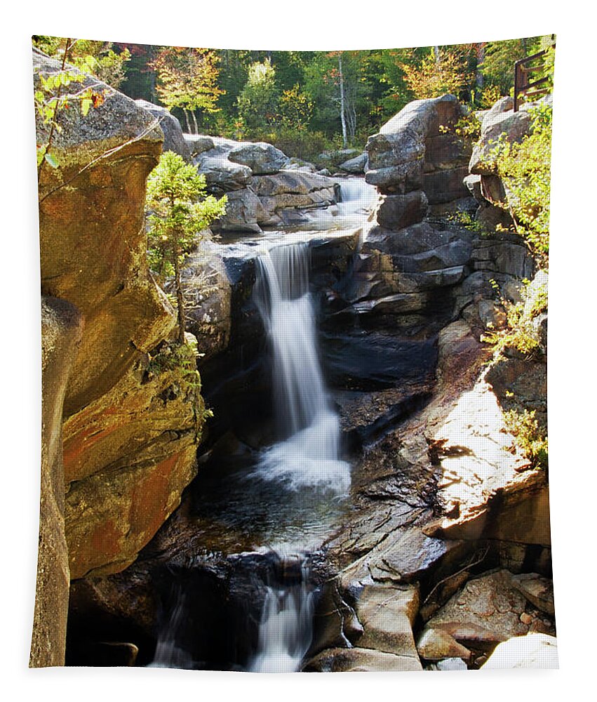 Landscape Tapestry featuring the photograph Screw Auger Falls by Brett Pelletier