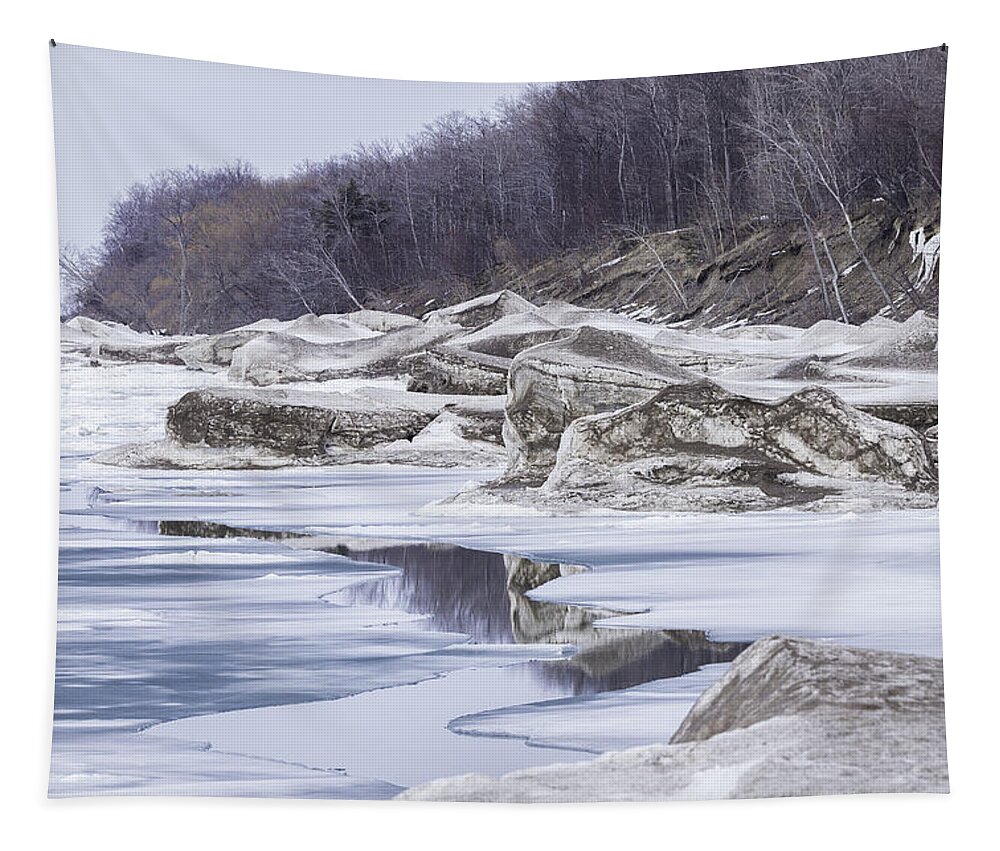 Lake Ontario Tapestry featuring the photograph Sculptures of the Wind by Everet Regal