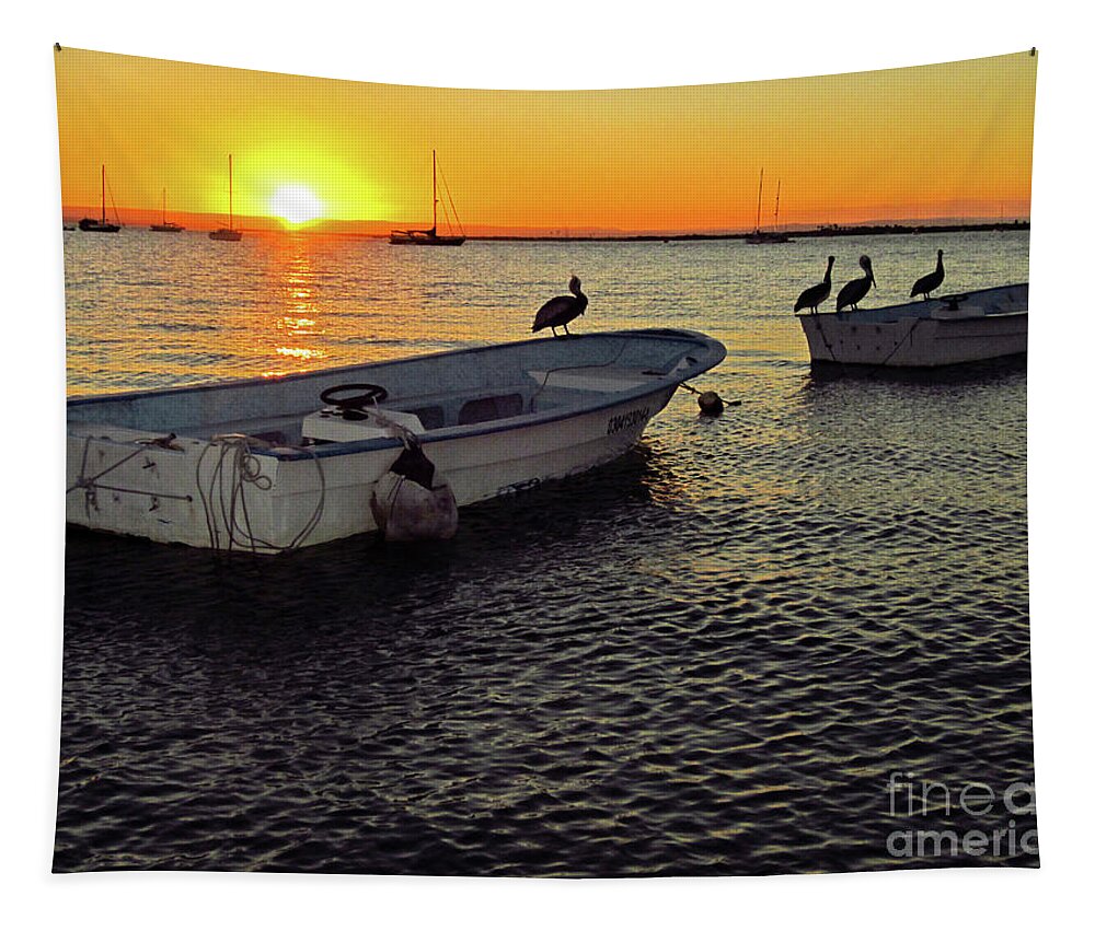 Pelicans Tapestry featuring the photograph Sea Bird Sunset by Becqi Sherman