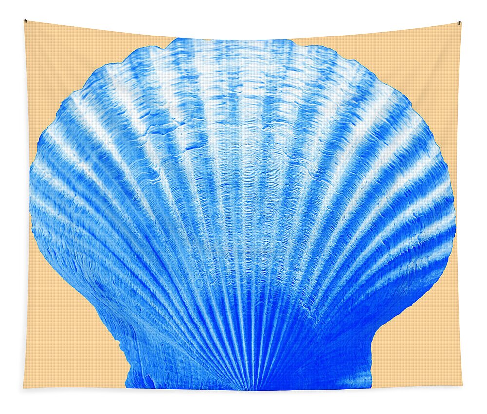 Sea Tapestry featuring the photograph Sea Shell -Blue on Sand by WAZgriffin Digital
