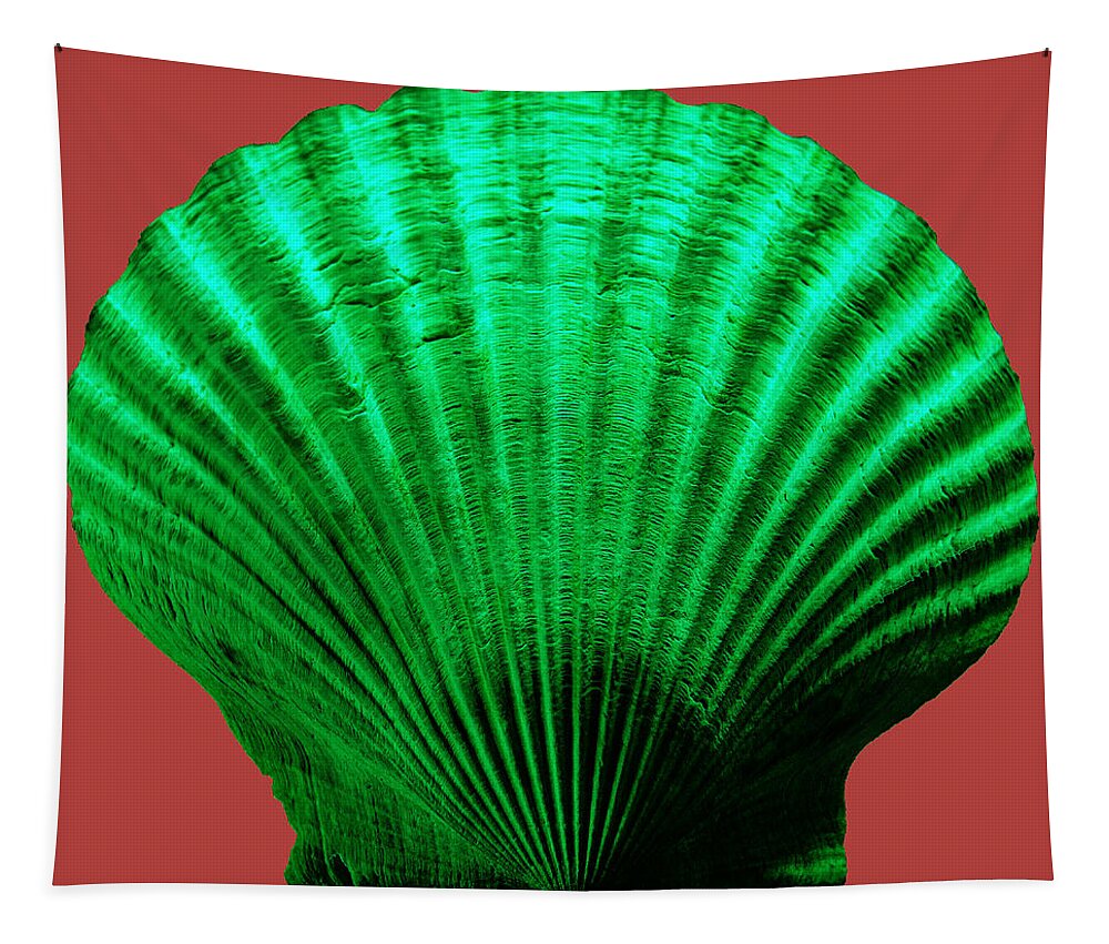 Sea Tapestry featuring the photograph Sea Shell-Green-red by WAZgriffin Digital