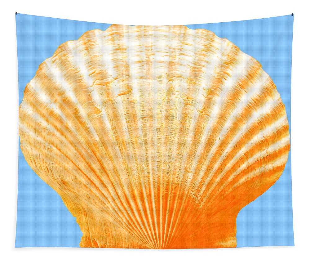 Sea Tapestry featuring the photograph Sea Shell-Orange-blue by WAZgriffin Digital