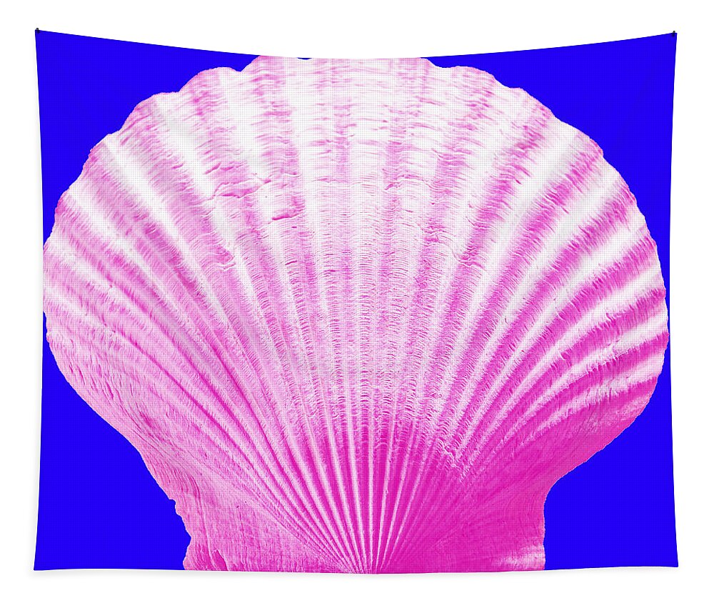 Sea Tapestry featuring the photograph Sea Shell- pink on blue by WAZgriffin Digital
