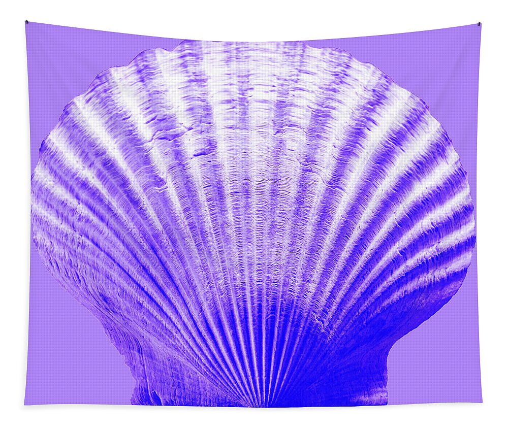 Sea Tapestry featuring the photograph Sea Shell-purple by WAZgriffin Digital