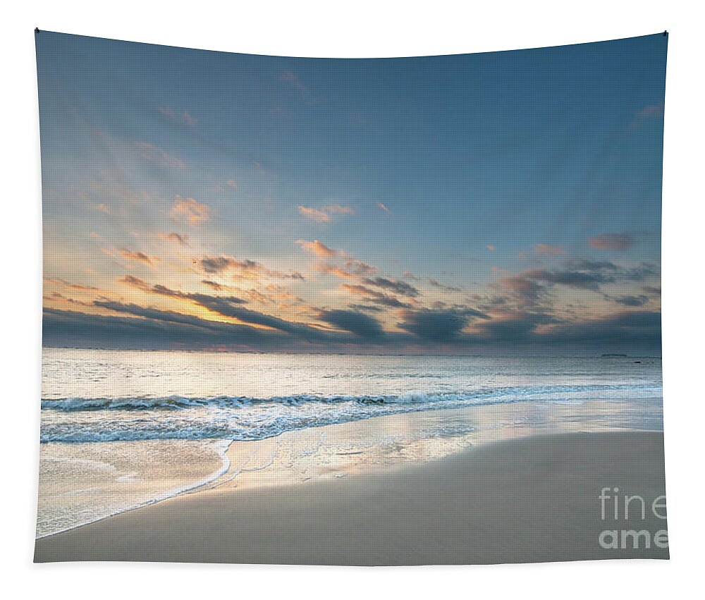Sunrise Tapestry featuring the photograph Sea Shore Island Life by Dale Powell
