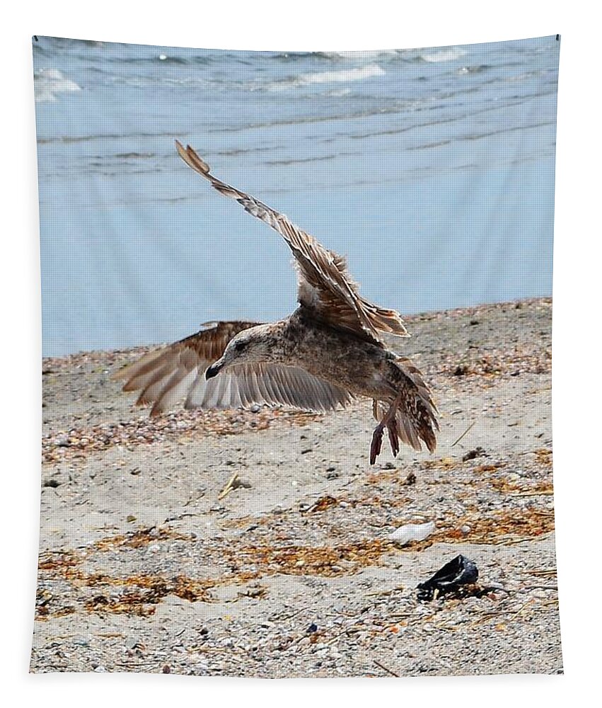 Beach Tapestry featuring the photograph Seagull and Shadow by Dani McEvoy