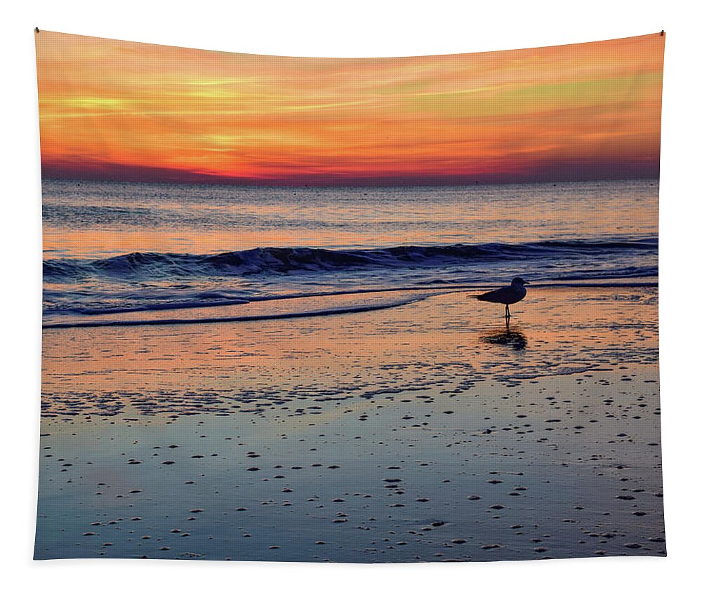 Beach Tapestry featuring the photograph Seagull at Sunrise by Nicole Lloyd