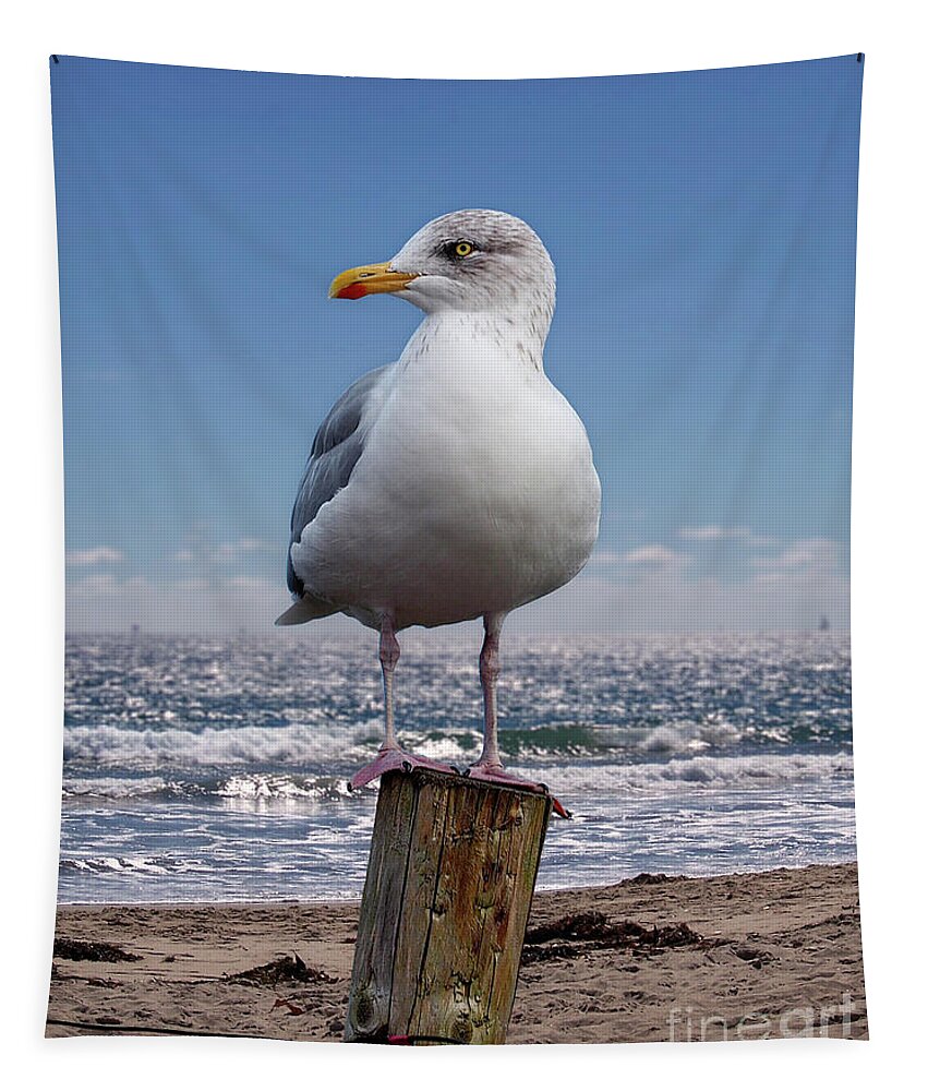 Seagull Tapestry featuring the photograph Seagull On The Shoreline by Phil Perkins
