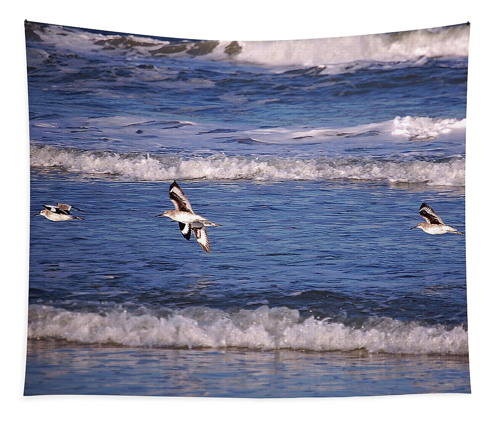 Seagulls Tapestry featuring the digital art Seagulls Above the Seashore by DigiArt Diaries by Vicky B Fuller