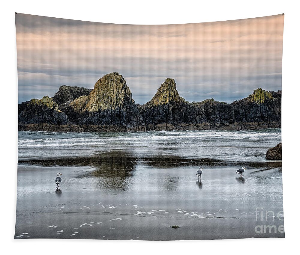 Alandersen.com Tapestry featuring the photograph Seagulls On Beach At Seal Rock by Al Andersen