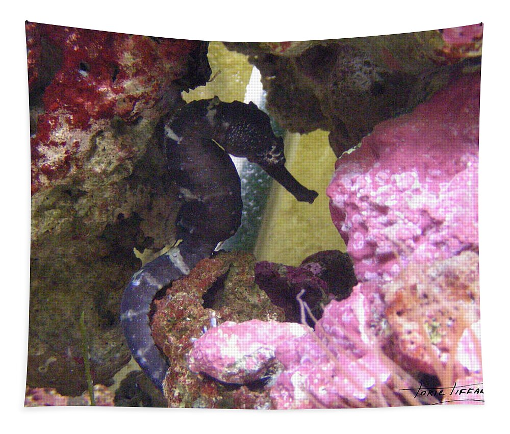 Faunagraphs Tapestry featuring the photograph Seahorse3 by Torie Tiffany