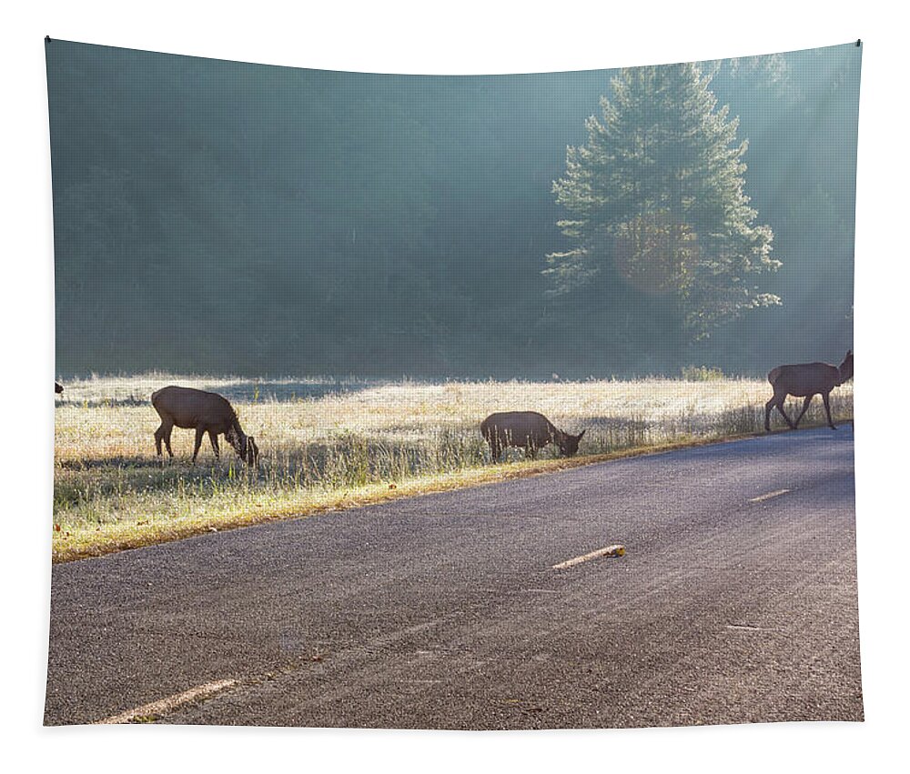 Elk Tapestry featuring the photograph Searching For Greener Grass by D K Wall