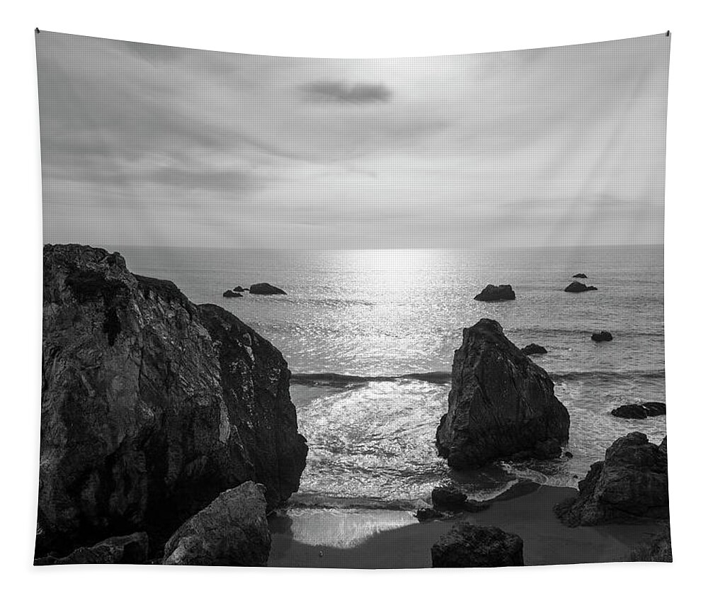 Pacific Tapestry featuring the photograph Seascape Jenner California III BW by David Gordon