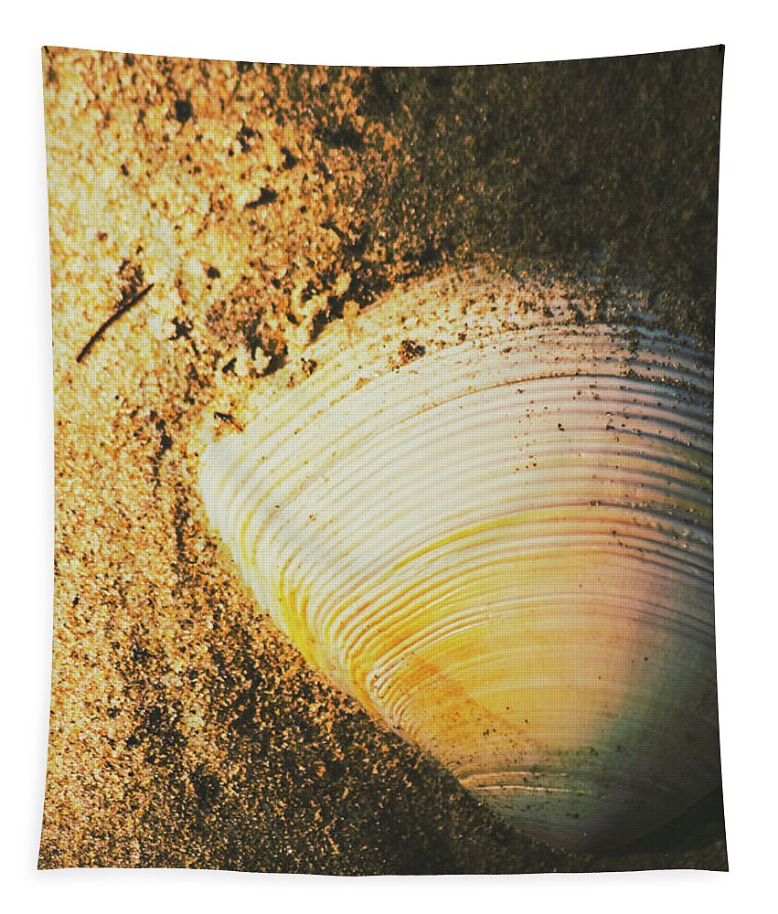 Nature Tapestry featuring the photograph Seashells and beach colours by Jorgo Photography