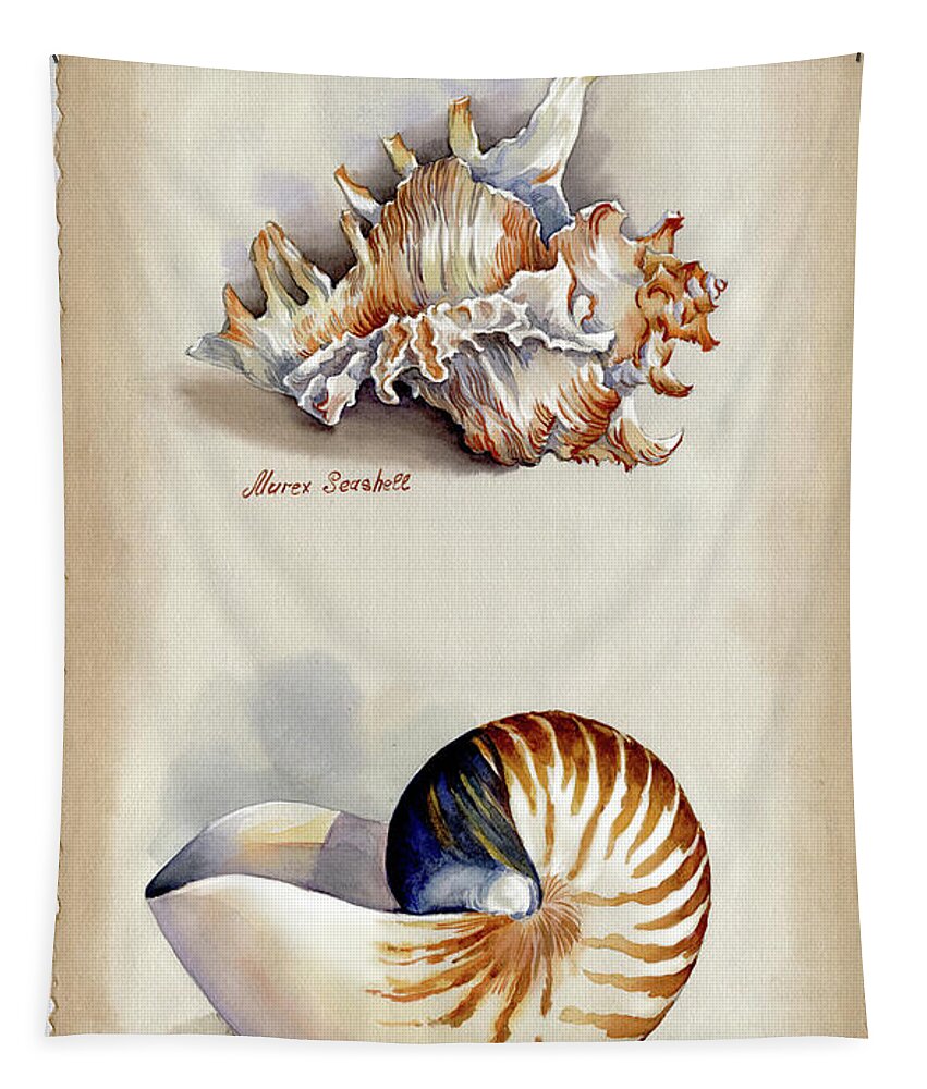 Seashells Tapestry featuring the photograph Seashells Murex and Nautilus by Maria Rabinky