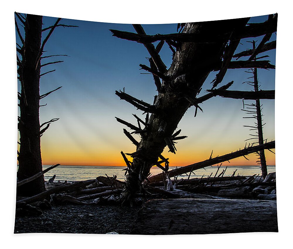 Branch Tapestry featuring the photograph Seaside Tree Branch Sunset 3 by Pelo Blanco Photo