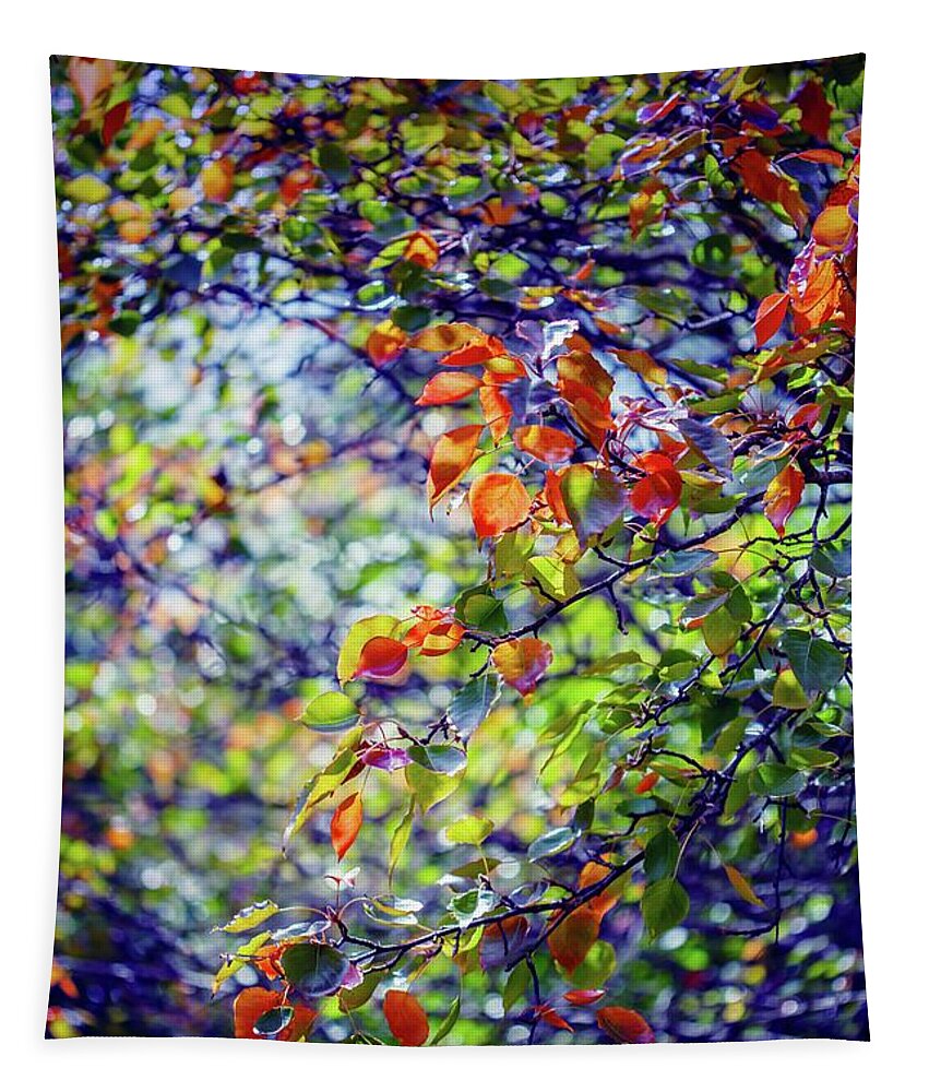 Australia Tapestry featuring the photograph Seasons Change by Az Jackson