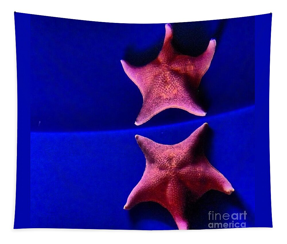 Star Fish Tapestry featuring the photograph Seeing Double by Denise Railey