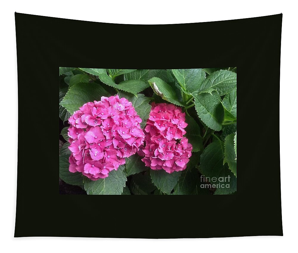 Hydrangea Tapestry featuring the photograph Seeing Double by Gina Sullivan