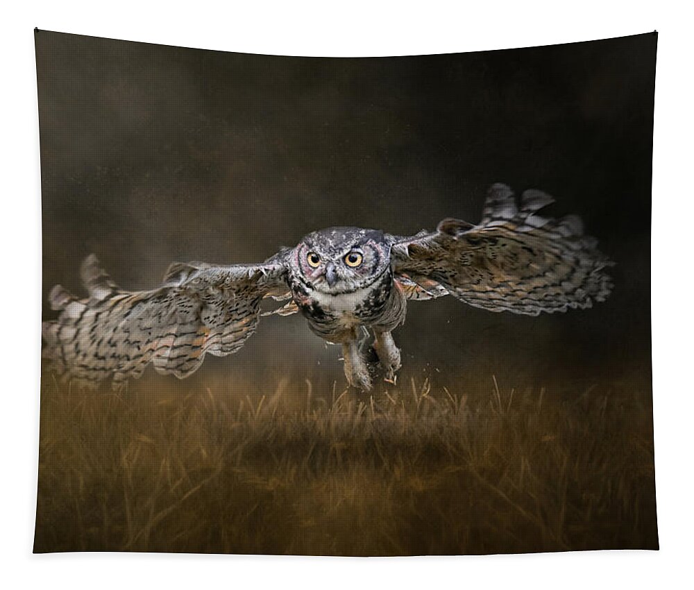 Owl Tapestry featuring the photograph Seize The Opportunity by Jai Johnson