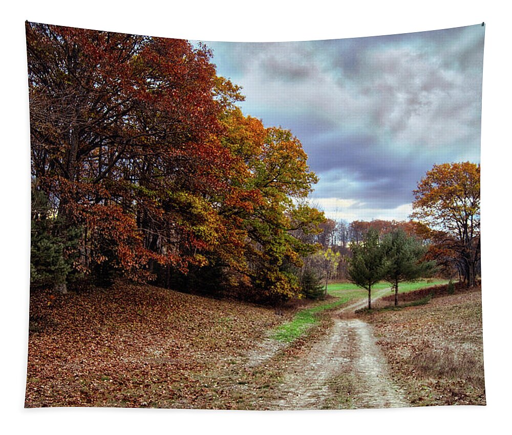 Autumn Tapestry featuring the photograph Seldom Traveled 0609 by Michael Peychich