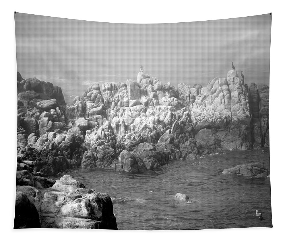 Waves Tapestry featuring the photograph Sentinels In The Fog B And W by Joyce Dickens