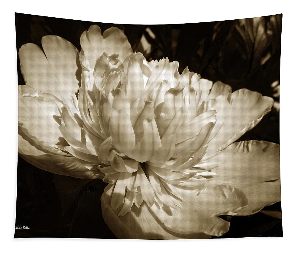 Peony Flower Tapestry featuring the photograph Sepia Peony Flower Art by Christina Rollo