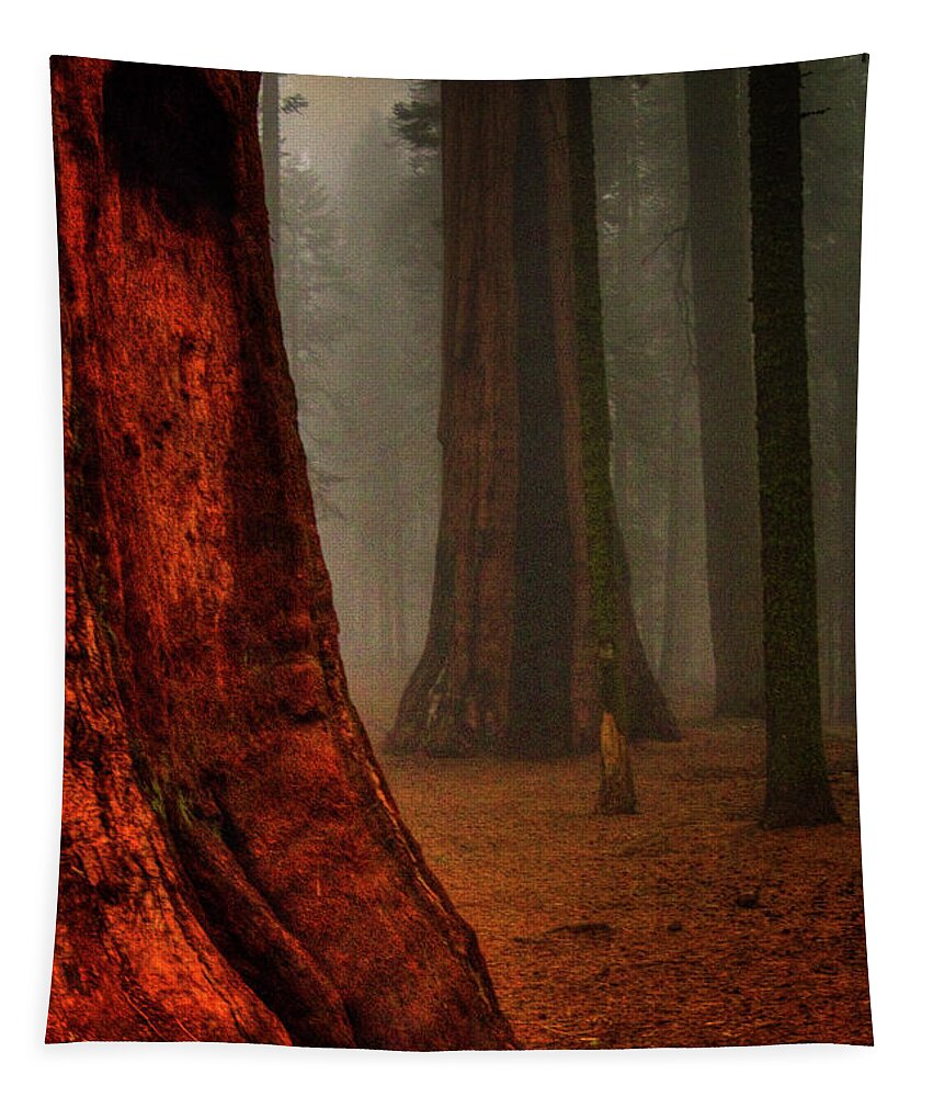 California Tapestry featuring the photograph Sequoias in the Clouds by Roger Passman