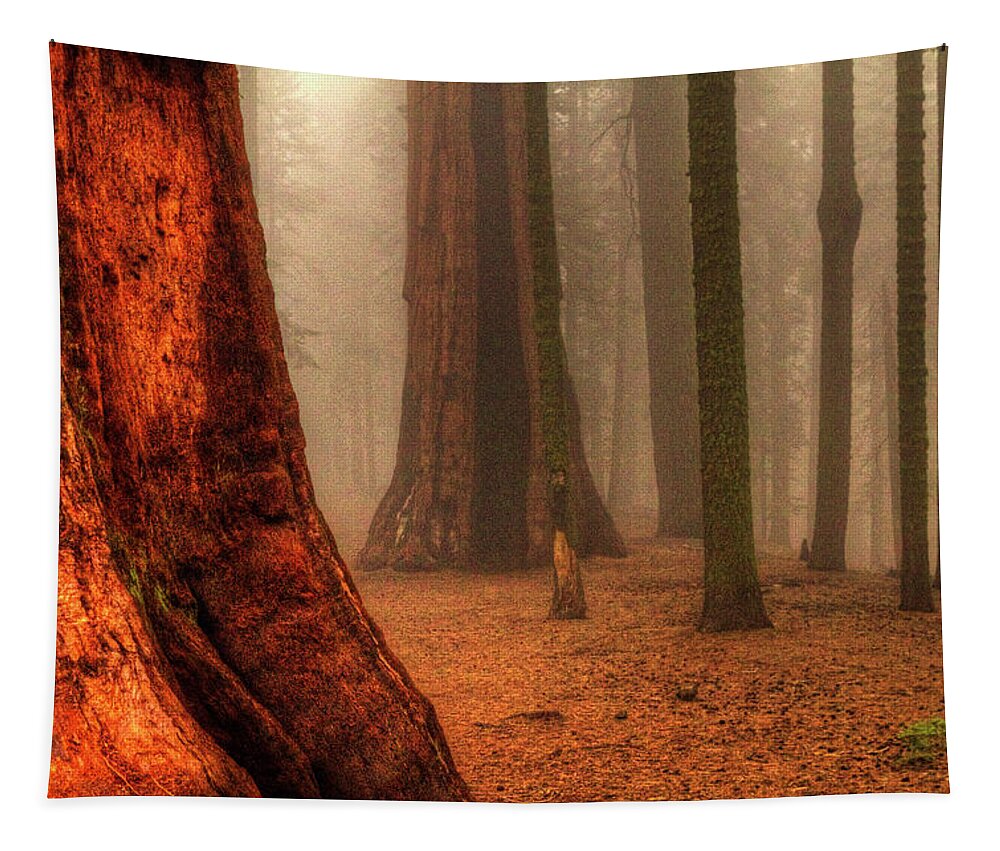 California Tapestry featuring the photograph Sequoias touching the Clouds by Roger Passman
