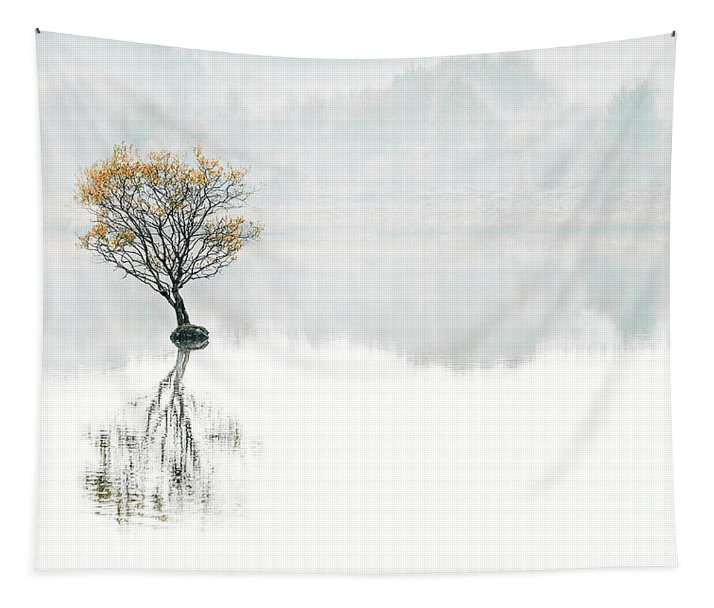 Kremsdorf Tapestry featuring the photograph Serenity Song by Evelina Kremsdorf