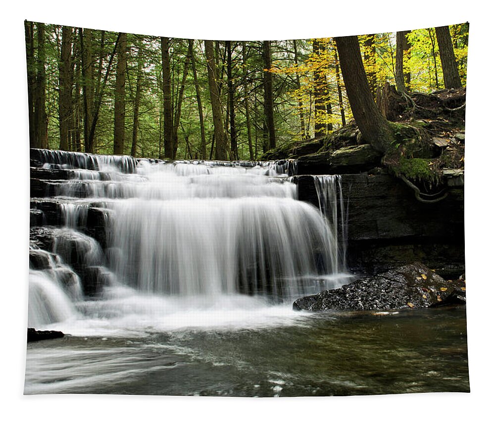 Waterfalls Tapestry featuring the photograph Serenity Waterfalls Landscape by Christina Rollo