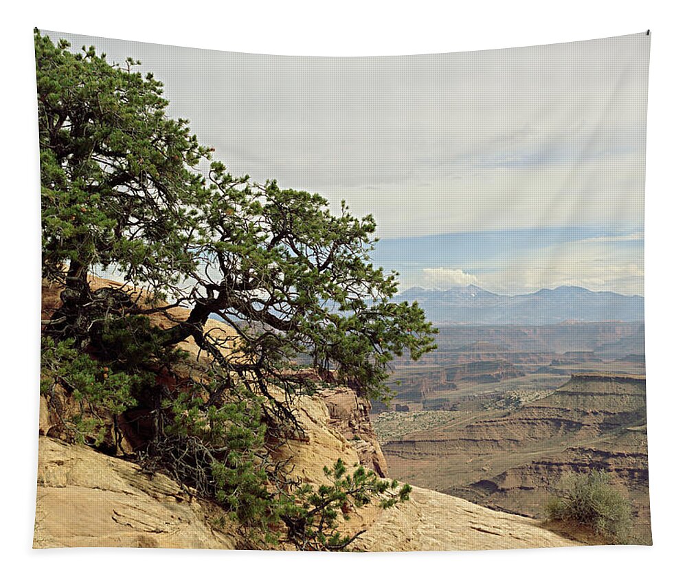 Tree Tapestry featuring the photograph Shafer Canyon Overlook by Peter J Sucy