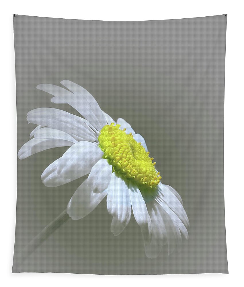 Daisy Tapestry featuring the photograph She Loves Me by David Dehner