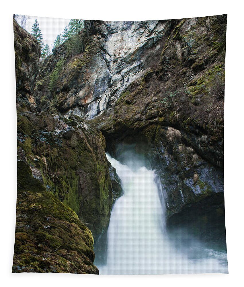 Washington Tapestry featuring the photograph Sheep Creek Falls by Troy Stapek