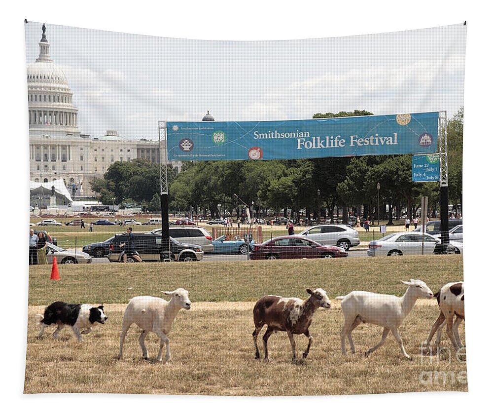 Washington Tapestry featuring the photograph Sheep-Herding in Washington DC by William Kuta