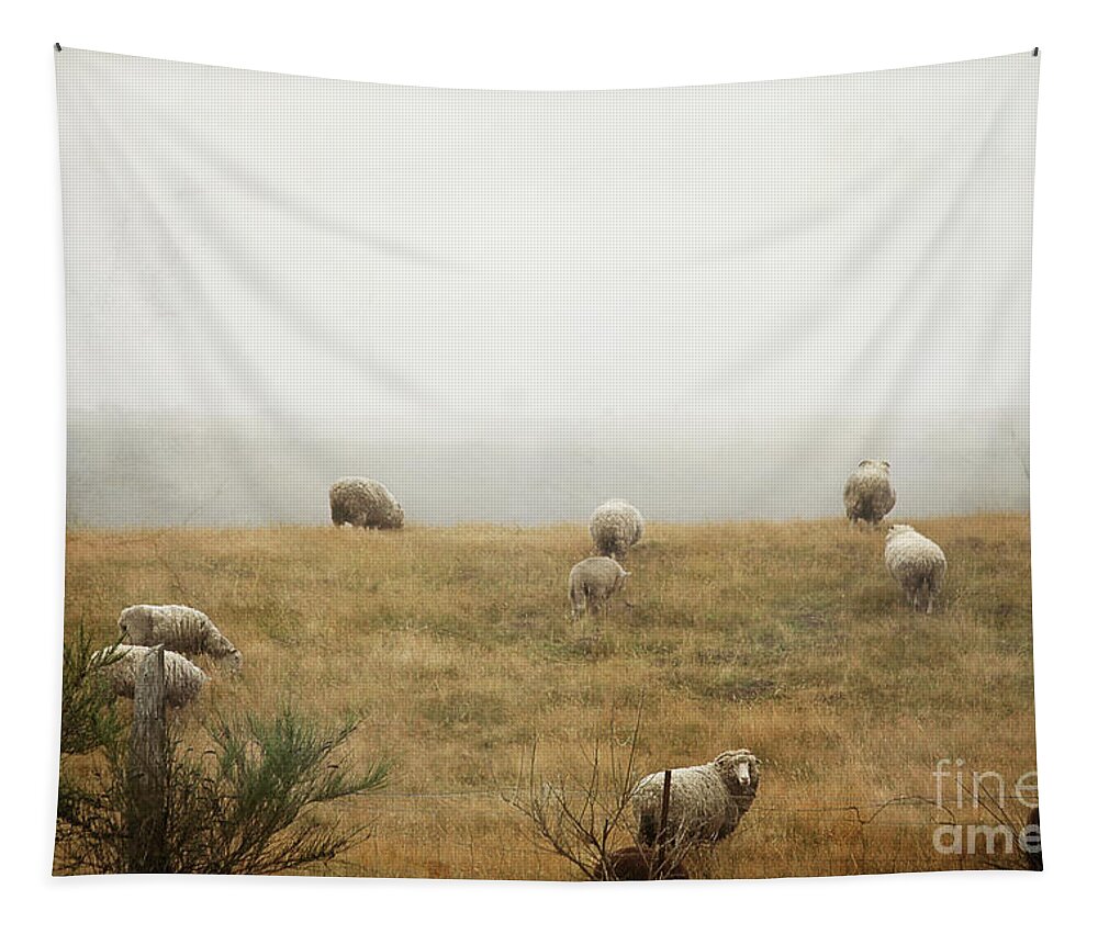 Landscape Tapestry featuring the photograph Sheep On A Foggy Morning by Sylvia Cook