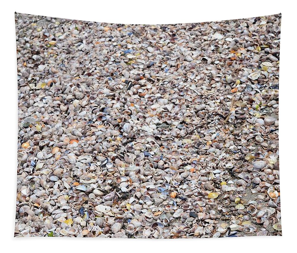 Shells Tapestry featuring the photograph Shells by Dani McEvoy