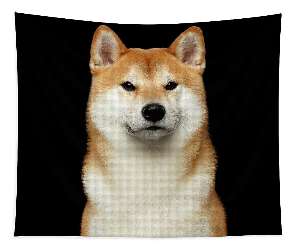 Dog Tapestry featuring the photograph Shiba inu by Sergey Taran