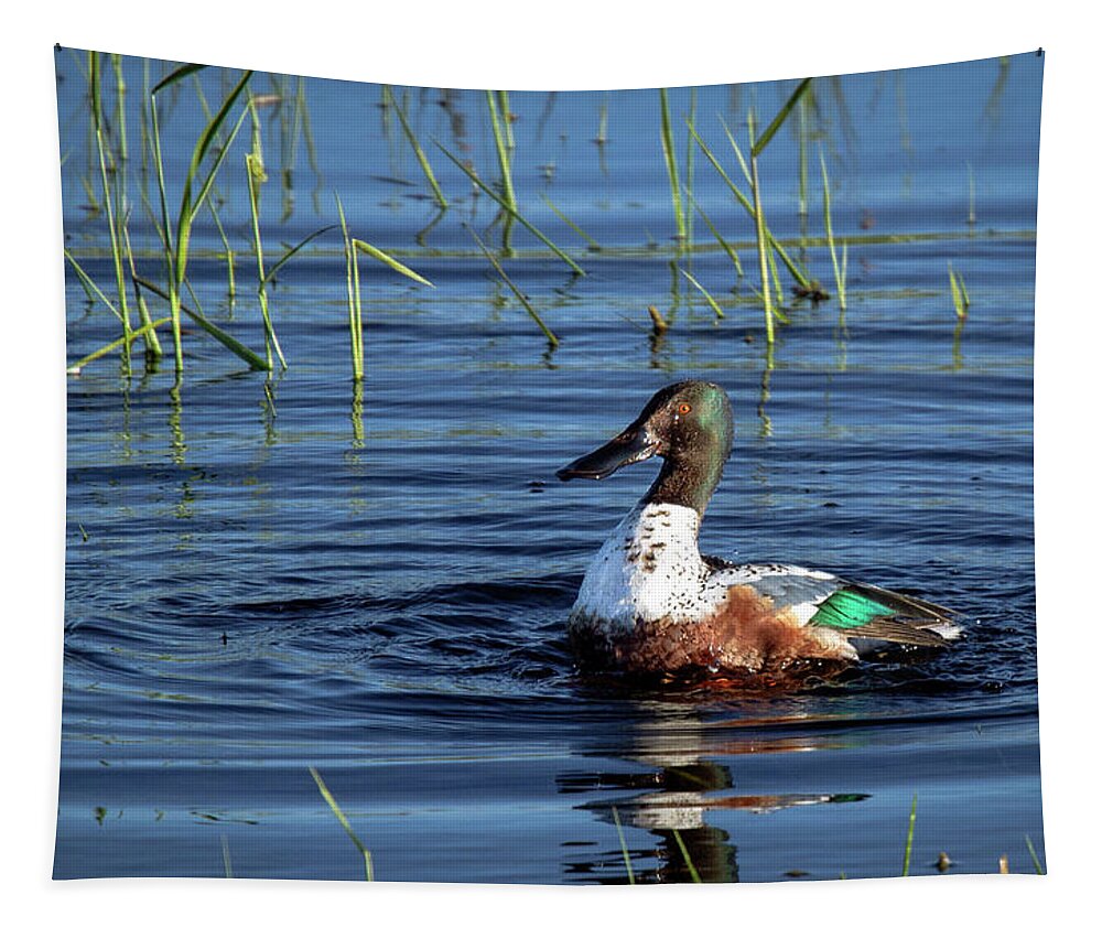 Jean Noren Tapestry featuring the photograph Shoveler by Jean Noren
